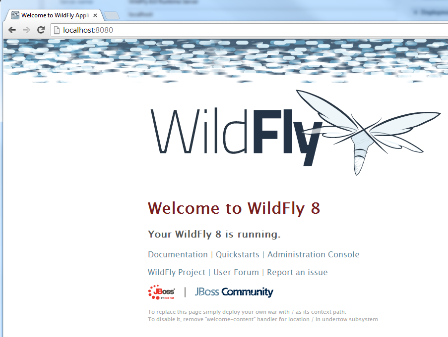 Wildfly Server is running